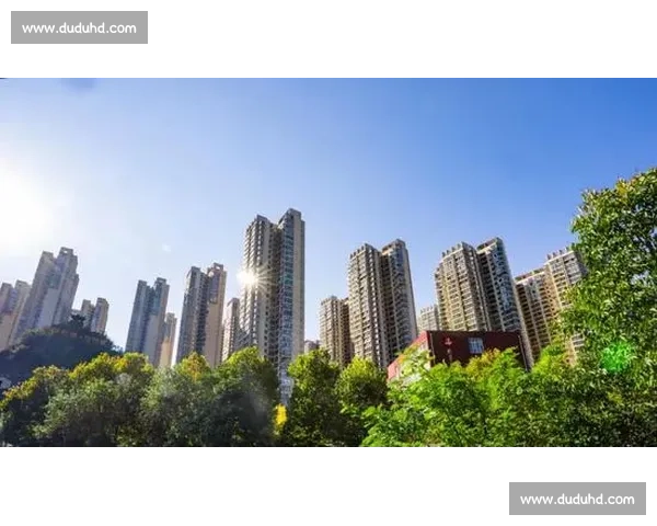 全面解析现代体育比赛体系构建与运行机制的创新与实践